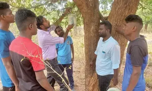 வெயிலை சமாளிக்க  பறவைகளுக்கு தண்ணீர் வைத்த சமூக ஆர்வலர்கள்