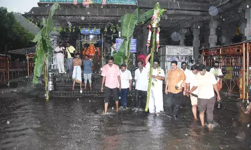 கொட்டும் மழையில் அண்ணாமலையார் கோவில்  சித்திரை வசந்த உற்சவம் தொடங்கியது கொட்டும் மழையில் அண்ணாமலையார் கோவில்  சித்திரை வசந்த உற்சவம் தொடங்கியது