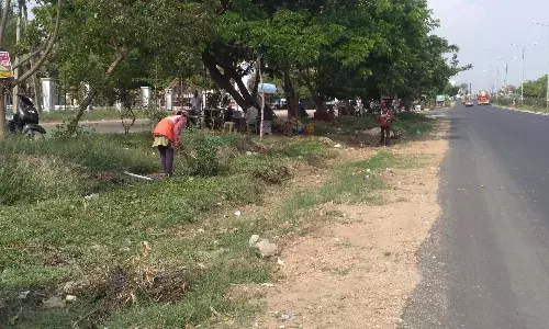 சேலம்-கோவை புறவழிச்சாலையில் புதர்களை அகற்றும் பணி தீவிரம் சேலம்-கோவை புறவழிச்சாலையில் புதர்களை அகற்றும் பணி தீவிரம்