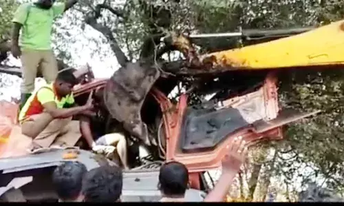 புளிய மரத்தில் மோதிய லாரியில் சிக்கிய ஓட்டுநர்- பத்திரமாக மீட்பு புளிய மரத்தில் மோதிய லாரியில் சிக்கிய ஓட்டுநர்- பத்திரமாக மீட்பு