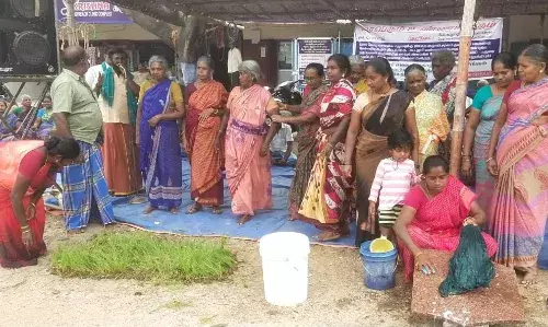 மதுரை குடிநீர் திட்டத்திற்கு எதிர்ப்பு: கூடலூரில் நாற்று நட்டு நூதன போராட்டம்