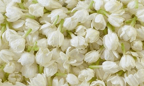 சத்தியமங்கலம் தினசரி பூ மார்க்கெட் இன்றைய (10ம் தேதி) நிலவரம்