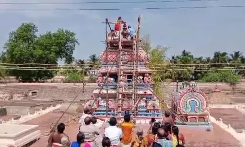 நெல்லையப்பர் கோவில் வருஷாபிஷேக விழா: ஏராளமான பக்தர்கள் சுவாமி தரிசனம்