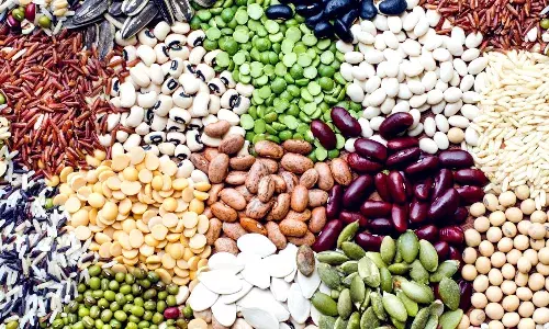 அதிக விளைச்சல் பெற விதை பரிசோதனை அவசியம்: வேளாண்மைத்துறை