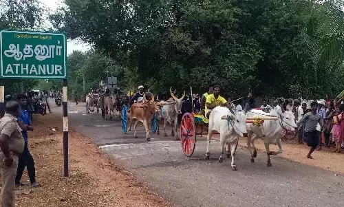 ஆதனூரில் கோவில் திருவிழாவை முன்னிட்டு மாட்டு வண்டி எல்கை பந்தயம் ஆதனூரில் கோவில் திருவிழாவை முன்னிட்டு மாட்டு வண்டி எல்கை பந்தயம்