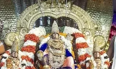 சேஷ வாகனத்தில் எழுந்தருளி வரதராஜ பெருமாள் பக்தர்களுக்கு அருள்பாலிப்பு