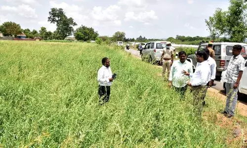 தண்டராம்பட்டு ஒன்றியத்தில் வளர்ச்சி திட்ட பணிகள்: ஆட்சியர் ஆய்வு