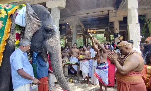 திருவாவடுதுறை ஆதீனகர்த்தரின் ஜென்ம நட்சத்திரம்: சிவனடியார்களுக்கு  அருளாசி திருவாவடுதுறை ஆதீனகர்த்தரின் ஜென்ம நட்சத்திரம்: சிவனடியார்களுக்கு  அருளாசி