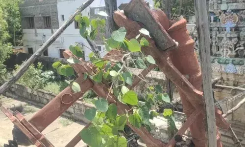 குத்தாலம் சோழீஸ்வரர் கோவில் கொடிமரம் சேதமடைந்து தொங்குவதால் பக்தர்கள் அச்சம் குத்தாலம் சோழீஸ்வரர் கோவில் கொடிமரம் சேதமடைந்து தொங்குவதால் பக்தர்கள் அச்சம்