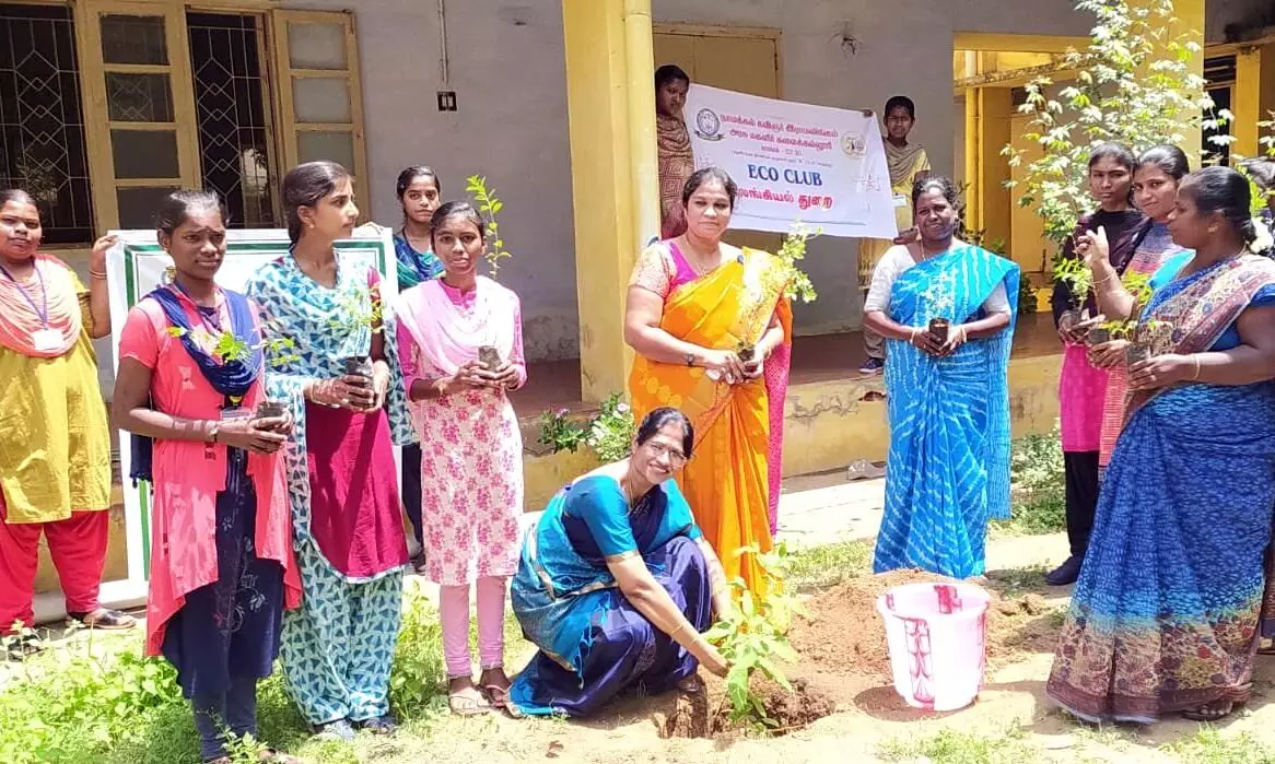 நாமக்கல் அரசு மகளிர் கலைக் கல்லூரியில் உலக சுற்றுச்சூழல் தின விழா நாமக்கல் அரசு மகளிர் கலைக் கல்லூரியில் உலக சுற்றுச்சூழல் தின விழா