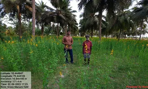 பயிரிடப்படும் மண்ணுக்கு வனப்பும் வளமும் தரும் சணப்பு: வேளாண் அதிகாரிகள் பயிரிடப்படும் மண்ணுக்கு வனப்பும் வளமும் தரும் சணப்பு: வேளாண் அதிகாரிகள்