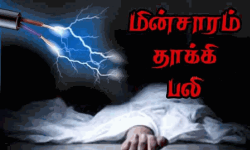 சோழவந்தானில் மின் கம்பி அறுந்து விழுந்து முதியவர் உயிரிழப்பு சோழவந்தானில் மின் கம்பி அறுந்து விழுந்து முதியவர் உயிரிழப்பு