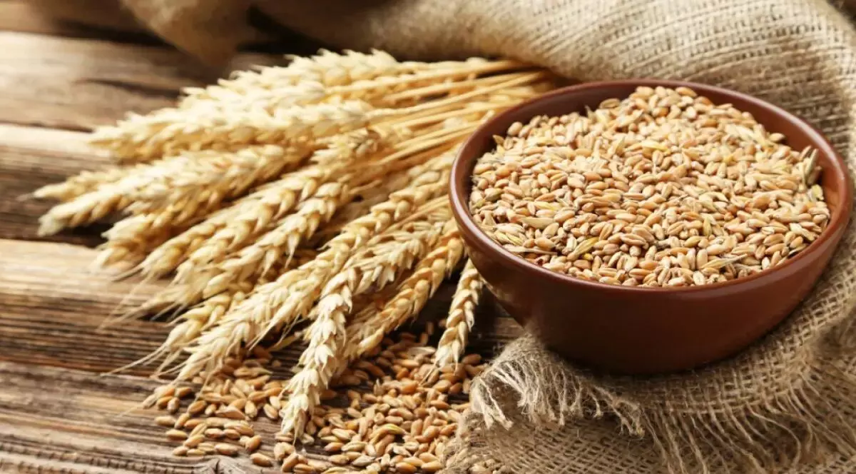 கோதுமை நெருக்கடி: நுகர்வோரை பாதிக்கும் விநியோக நிலைமை கோதுமை நெருக்கடி: நுகர்வோரை பாதிக்கும் விநியோக நிலைமை