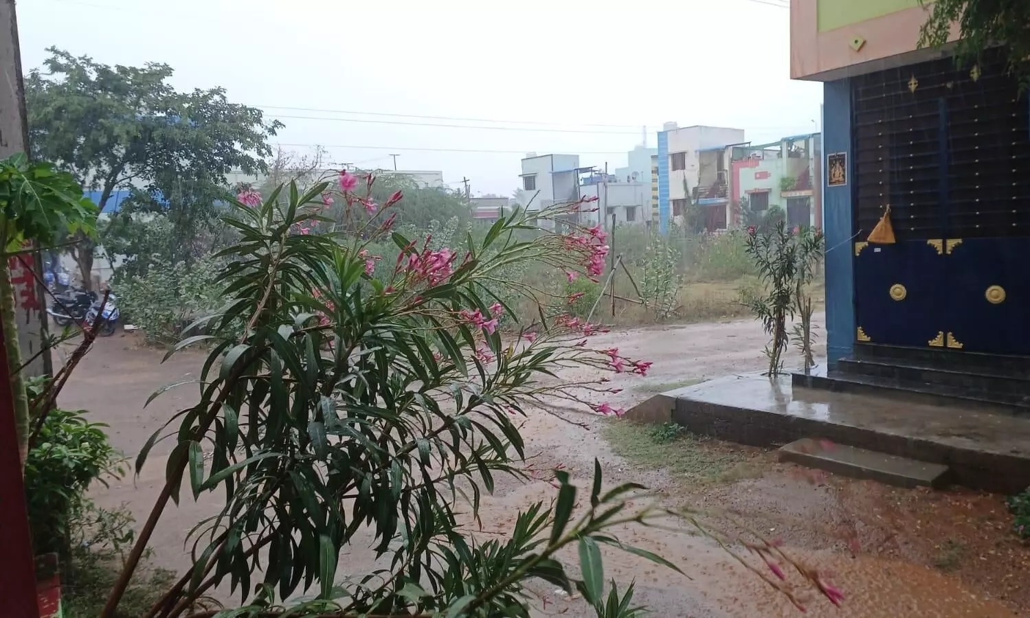 மதுரை மாவட்டத்தில் பலத்த மழை: சாலைகளில் புரண்டோடிய மழை நீர் மதுரை மாவட்டத்தில் பலத்த மழை: சாலைகளில் புரண்டோடிய மழை நீர்