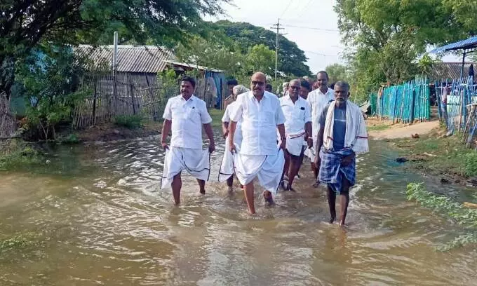 வெள்ளத்தால் பாதிக்கப்பட்ட விளைநிலங்களை பார்வையிட்ட அரியலூர் எம்எல்ஏ வெள்ளத்தால் பாதிக்கப்பட்ட விளைநிலங்களை பார்வையிட்ட அரியலூர் எம்எல்ஏ