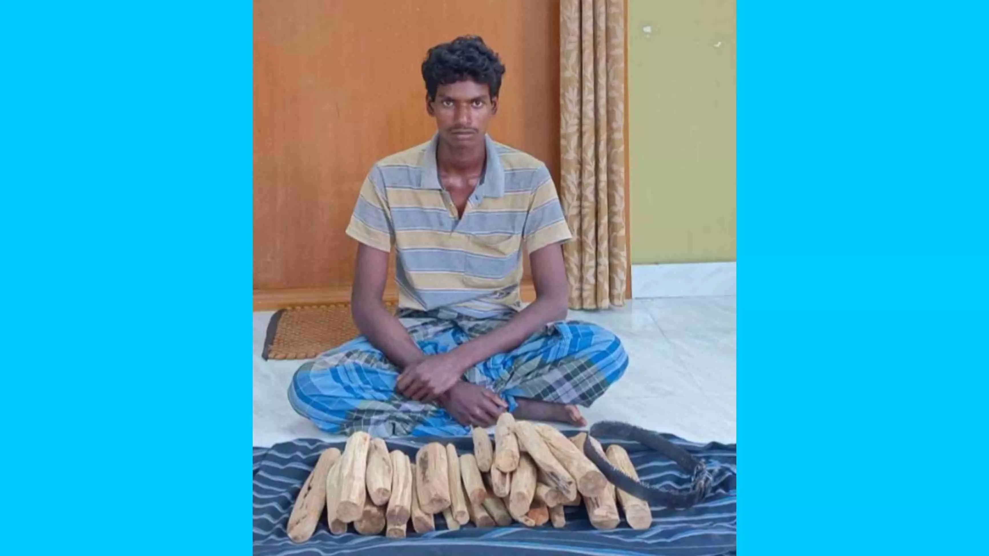கோபிசெட்டிபாளையம் அருகே சந்தன மரங்களை வெட்டி கடத்த முயன்ற 2 பேர் கைது கோபிசெட்டிபாளையம் அருகே சந்தன மரங்களை வெட்டி கடத்த முயன்ற 2 பேர் கைது