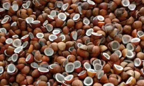பரமத்தி வேலூர் வேளாண் மார்க்கெட்டில் ரூ. 21.42 லட்சம் மதிப்பில் தேங்காய் பருப்பு ஏலம்
