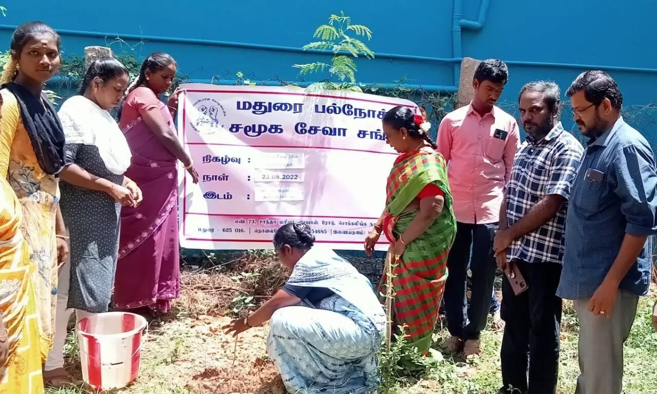 அருப்புக்கோட்டையில் மரக்கன்றுகள் நடும் விழா அருப்புக்கோட்டையில் மரக்கன்றுகள் நடும் விழா