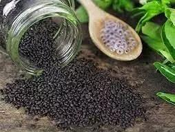 Benefits Of Sabja Seeds In Tamil-ஊட்டசத்து மிகுந்த சப்ஜா விதைகளை சாப்பிட்டுள்ளீர்களா? அதன் பலனை பாருங்க sabja seeds in tamil Benefits Of Sabja Seeds In Tamil-ஊட்டசத்து மிகுந்த சப்ஜா விதைகளை சாப்பிட்டுள்ளீர்களா? அதன் பலனை பாருங்க sabja seeds in tamil