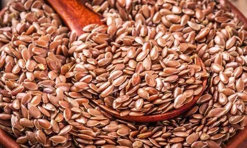 What is Flax Seeds in Tamil What is Flax Seeds in Tamil