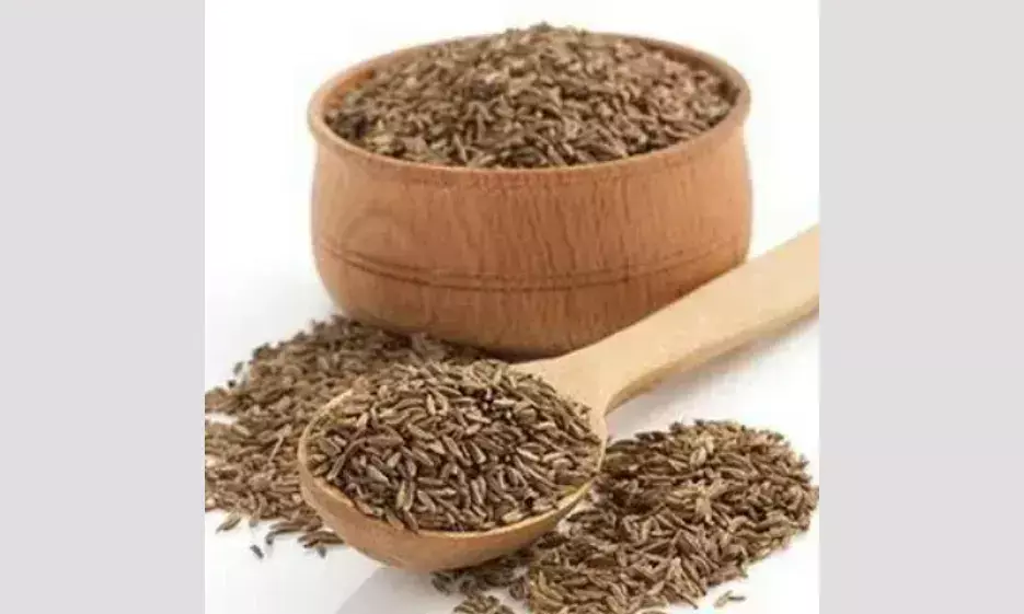 Cumin Seeds in Tamil Cumin Seeds in Tamil