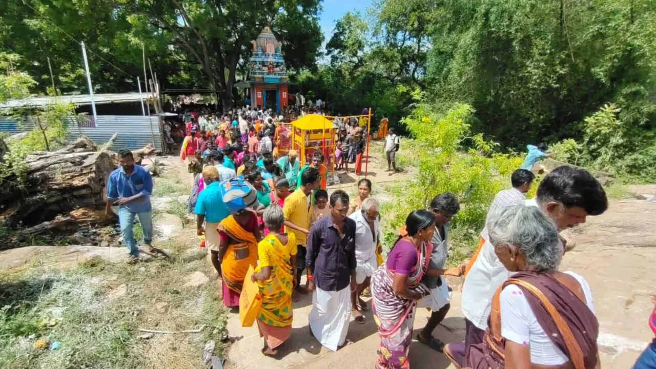 சதுரகிரி சுந்தரமகாலிங்கம் மலையில் குவிந்த பக்தர்கள் கூட்டம் சதுரகிரி சுந்தரமகாலிங்கம் மலையில் குவிந்த பக்தர்கள் கூட்டம்