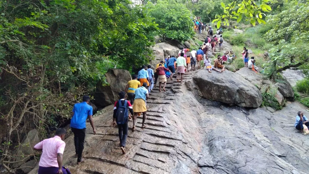 சதுரகிரி மலையில் குவிந்த பக்தர்கள் கூட்டம் சதுரகிரி மலையில் குவிந்த பக்தர்கள் கூட்டம்
