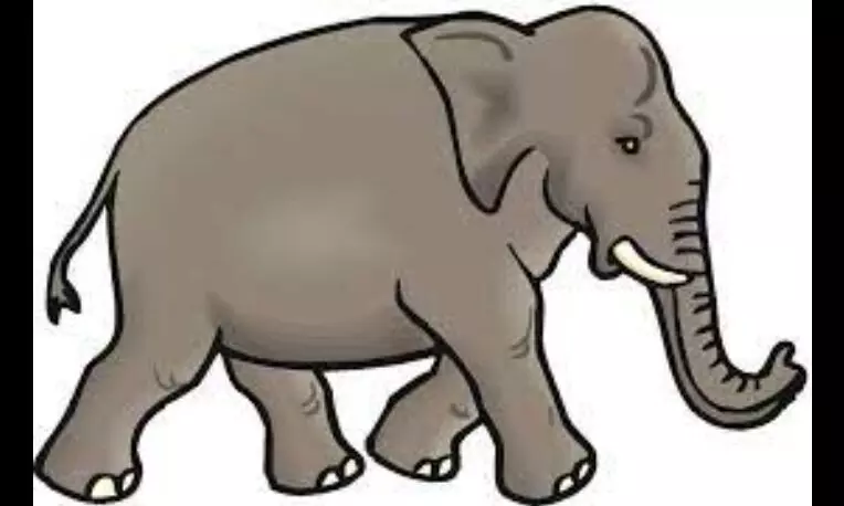 யானையிடம் சிக்கி தவித்த விவசாயி மீட்பு யானையிடம் சிக்கி தவித்த விவசாயி மீட்பு