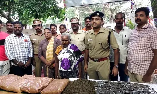 மயிலம் அருகே கஞ்சா விற்பனை செய்த மூதாட்டி கைது மயிலம் அருகே கஞ்சா விற்பனை செய்த மூதாட்டி கைது