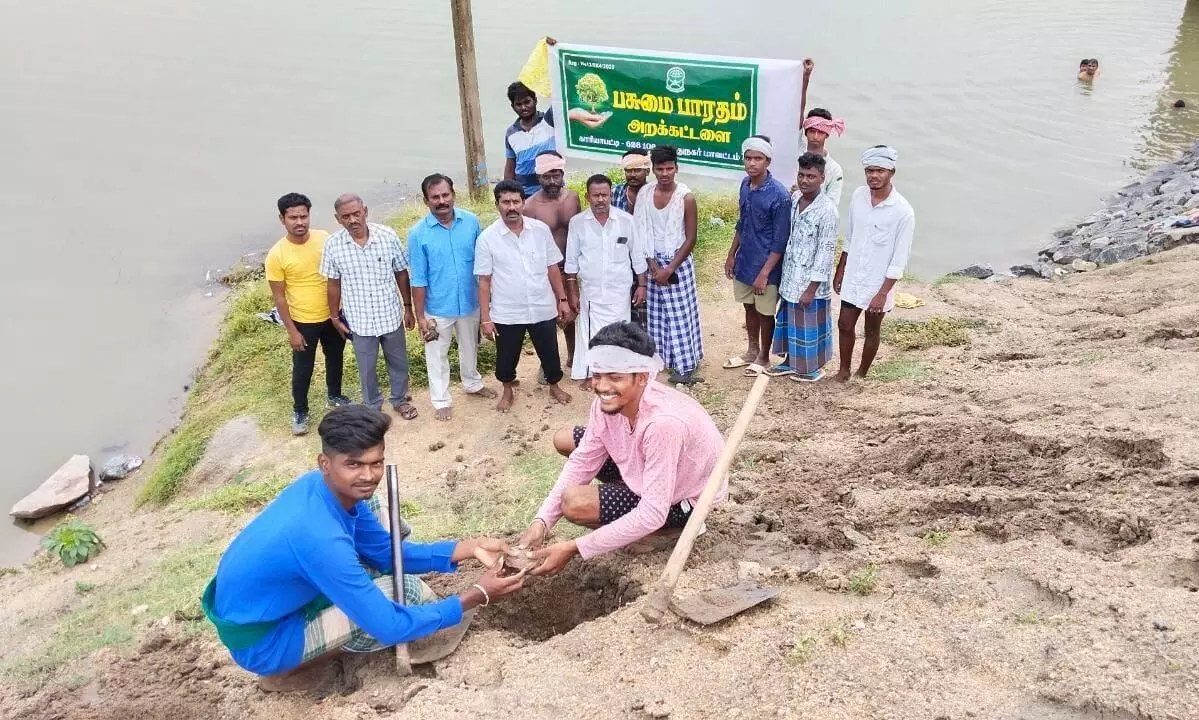 காரியாபட்டி வட்டாரத்தில் 5 ஆயிரம் பனை விதைகள் நடவு செய்ய ஏற்பாடு காரியாபட்டி வட்டாரத்தில் 5 ஆயிரம் பனை விதைகள் நடவு செய்ய ஏற்பாடு