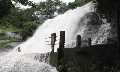 தொடர் மழையால் தேனி மாவட்ட   அருவிகள், ஆறுகளில் குளிப்பதற்கு தடை தொடர் மழையால் தேனி மாவட்ட   அருவிகள், ஆறுகளில் குளிப்பதற்கு தடை