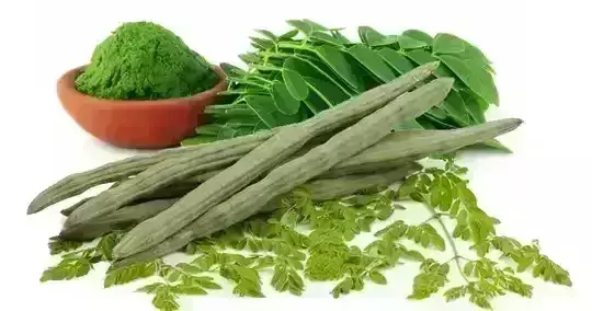 தேனியில், மூன்று ஆண்டுகளாக முடங்கிய முருங்கை ஏற்றுமதி மையம் தேனியில், மூன்று ஆண்டுகளாக முடங்கிய முருங்கை ஏற்றுமதி மையம்