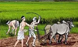 விழுப்புரம் மாவட்ட வேளாண் இணை இயக்குனர் விவசாயிகளுக்கு அறிவுரை விழுப்புரம் மாவட்ட வேளாண் இணை இயக்குனர் விவசாயிகளுக்கு அறிவுரை