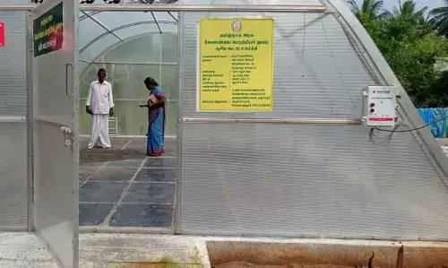 விவசாயிகளுக்கு 50 சதவீத மானியத்தில் சோலார் டிரையர் விவசாயிகளுக்கு 50 சதவீத மானியத்தில் சோலார் டிரையர்
