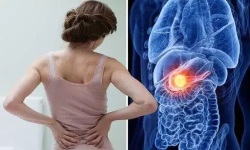 Pancreas in Tamil Meaning Pancreas in Tamil Meaning