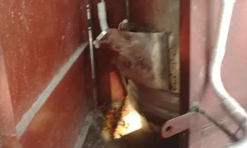 வாடிப்பட்டி அருகே கோயிலில் உண்டியலை உடைத்து பணம் திருட்டு வாடிப்பட்டி அருகே கோயிலில் உண்டியலை உடைத்து பணம் திருட்டு