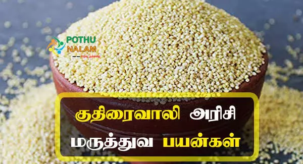 உடலில் நோய் எதிர்ப்பு சக்தி அதிகரிக்க, குதிரைவாலி அரிசி சாதம் சாப்பிடுங்க...! உடலில் நோய் எதிர்ப்பு சக்தி அதிகரிக்க, குதிரைவாலி அரிசி சாதம் சாப்பிடுங்க...!