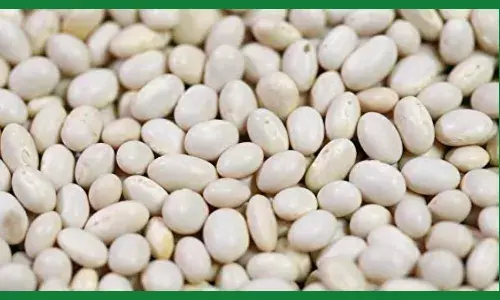 அதிகபுரதம், குறைந்த கொழுப்பு சத்துள்ள   சோயாபீன்ஸ் சாப்பிடுகிறீர்களா?.....படிங்க....