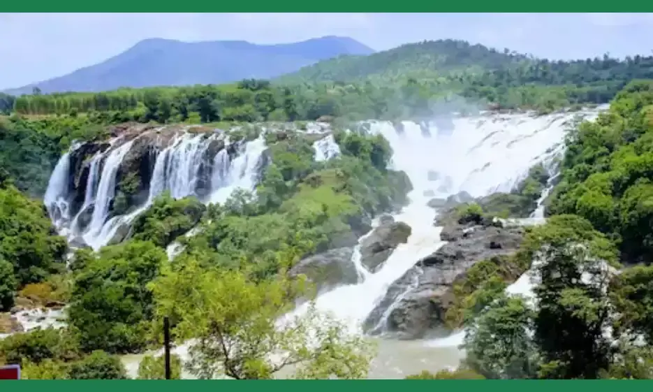 மூலிகை கலந்து வரும் ஒகேனக்கல் காவிரி அருவி நீர்:குளிச்சா நோய் தீருமாங்க......படிங்க... மூலிகை கலந்து வரும் ஒகேனக்கல் காவிரி அருவி நீர்:குளிச்சா நோய் தீருமாங்க......படிங்க...