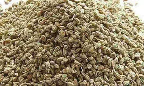 Ajwain in Tamil ஓமத்தின் நன்மைகள் தெரியுமா? மூர்த்தி சிறிதானாலும் கீர்த்தி பெரிது Ajwain in Tamil ஓமத்தின் நன்மைகள் தெரியுமா? மூர்த்தி சிறிதானாலும் கீர்த்தி பெரிது