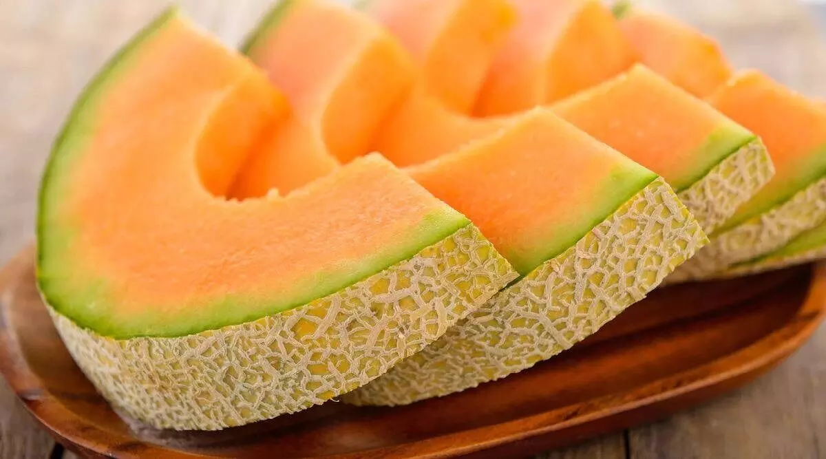 Musk Melon Fruit in Tamil Musk Melon Fruit in Tamil
