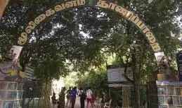 பலத்த மழையால் சதுரகிரி மலைக்கு பக்தர்கள் செல்ல தடை: மாவட்ட நிர்வாகம் அறிவிப்பு பலத்த மழையால் சதுரகிரி மலைக்கு பக்தர்கள் செல்ல தடை: மாவட்ட நிர்வாகம் அறிவிப்பு
