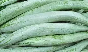 Snake Gourd Meaning in Tamil Snake Gourd Meaning in Tamil