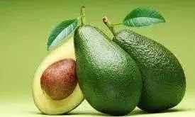 Avocado Meaning in Tamil Translation-பக்கோடா சாப்பிட்டு இருப்பீங்க..! அது என்ன அவோகேடோ பழம்..? தெரிஞ்சுக்கங்க..!