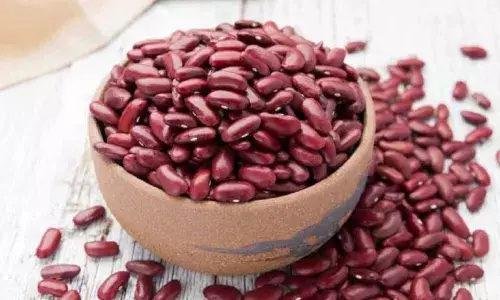 Rajma Benefits in Tamil
