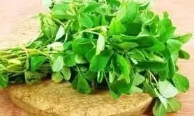 வெந்தயக் கீரை வாங்கலியோ...வெந்தயக் கீரை..! கூவிக்கூறும் நன்மைகள்..! வெந்தயக் கீரை வாங்கலியோ...வெந்தயக் கீரை..! கூவிக்கூறும் நன்மைகள்..!