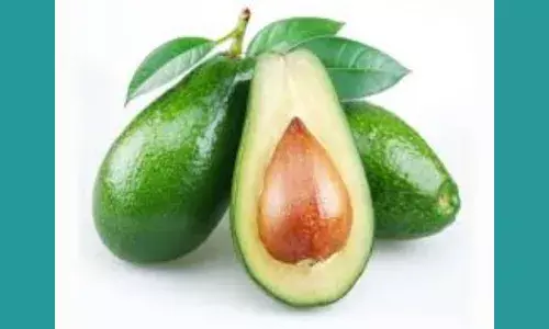 Butterfruit in Tamil Butterfruit in Tamil