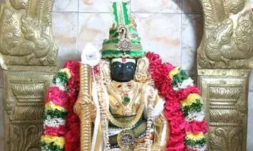 மாசி கிருத்திகை: நாமக்கல் மாவட்ட முருகன் கோயில்களில் சிறப்பு வழிபாடு