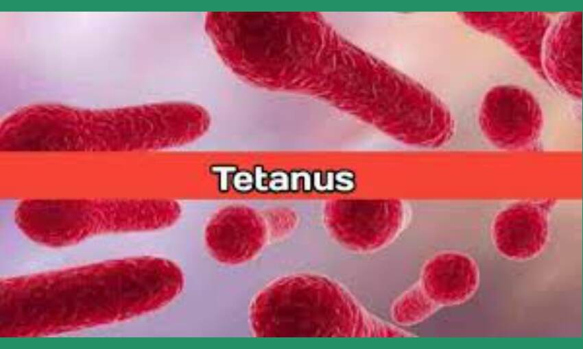 diphtheria-pertussis-tetanus-meaning-in-tamil