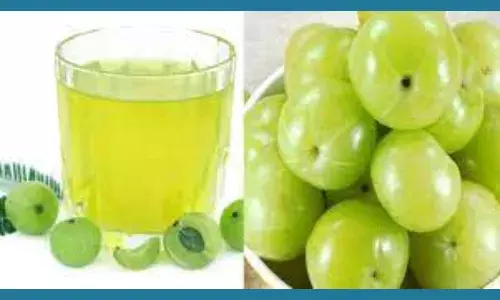 நோயெதிர்ப்பு சக்தியை அதிகரித்து  தோல் நோயைக் குணமாக்கும் நெல்லிக்காய்...  உங்களுக்கு தெரியுமா?.....படிங்க....